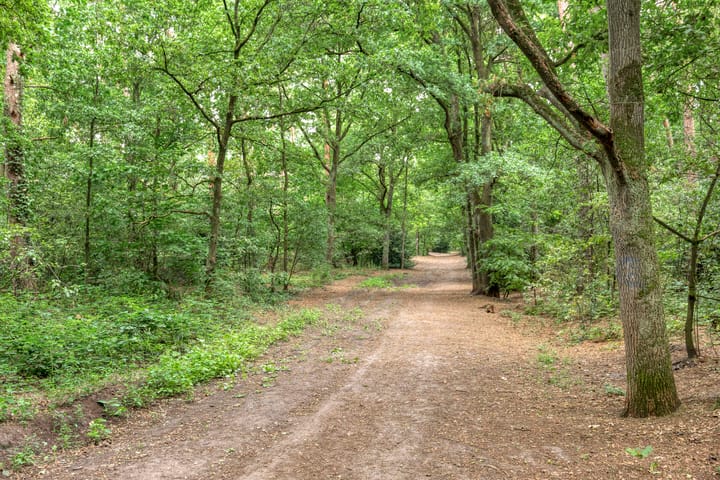 Foto 37 van Heksenkruidlaan 6