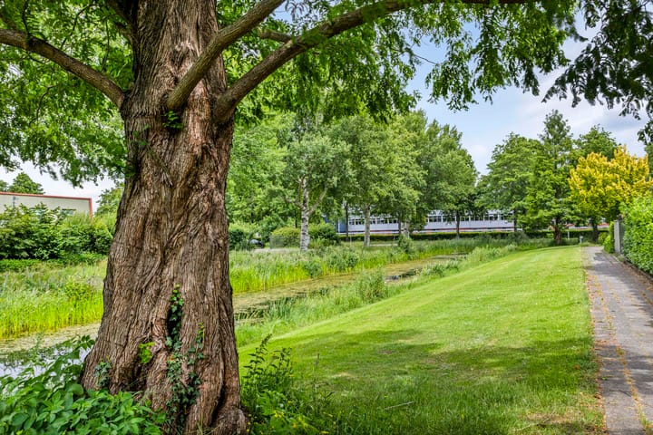 Photo 38 of De Brogge 34