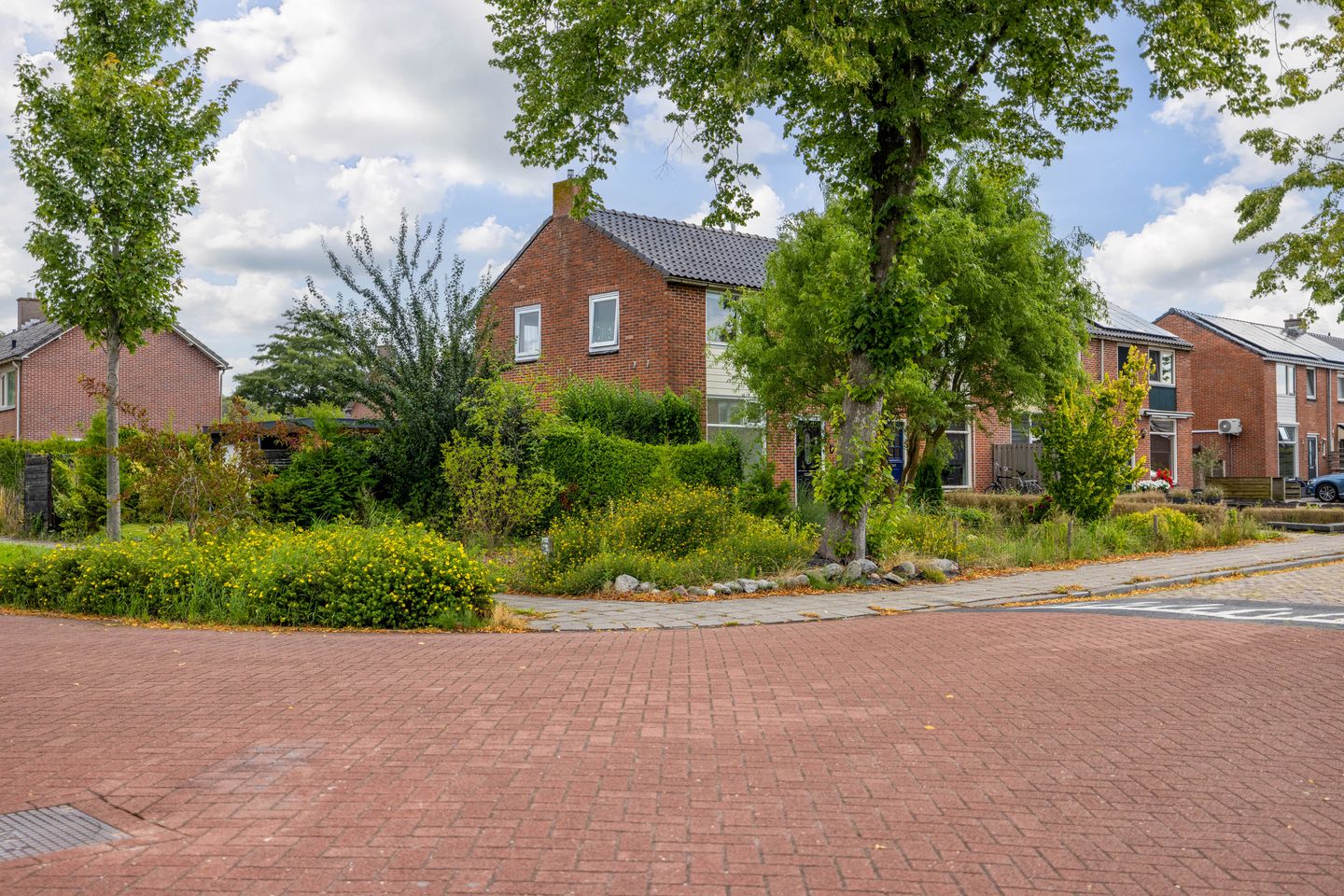 Foto 5 van Langelaan 77