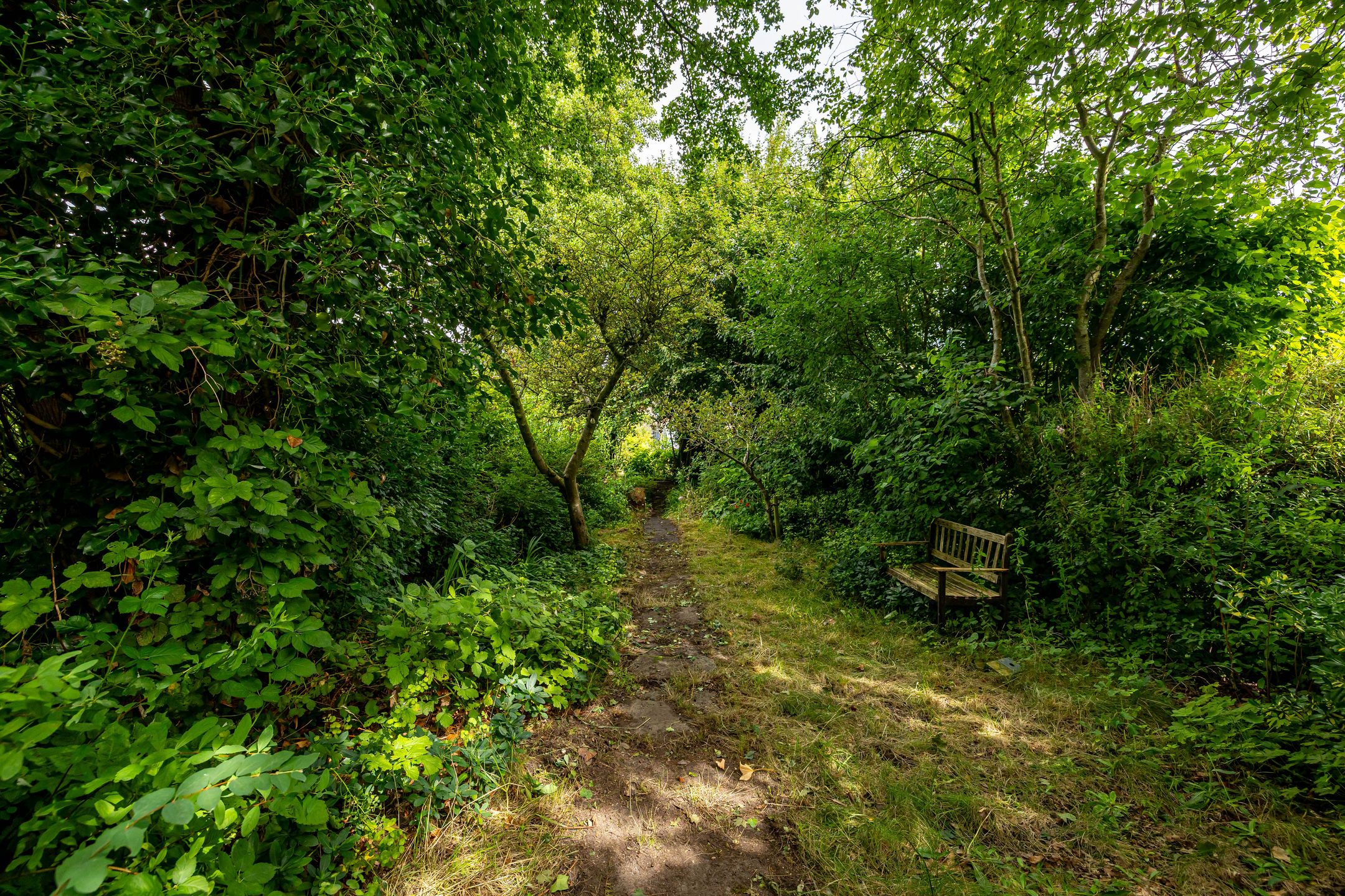 Foto 3 van Hoofdweg 122