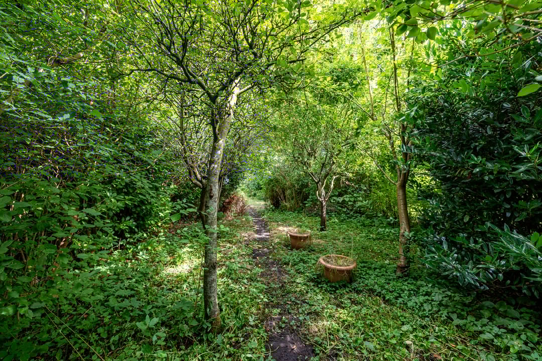 Foto 46 van Hoofdweg 122