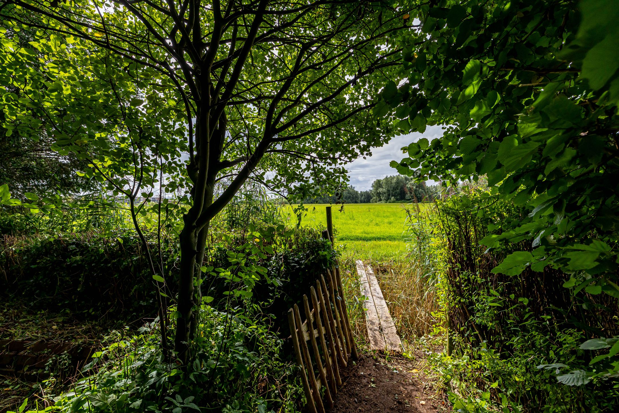 Foto 48 van Hoofdweg 122