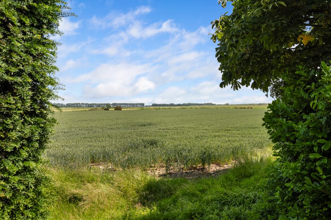 Foto 47 van Essendijk 10