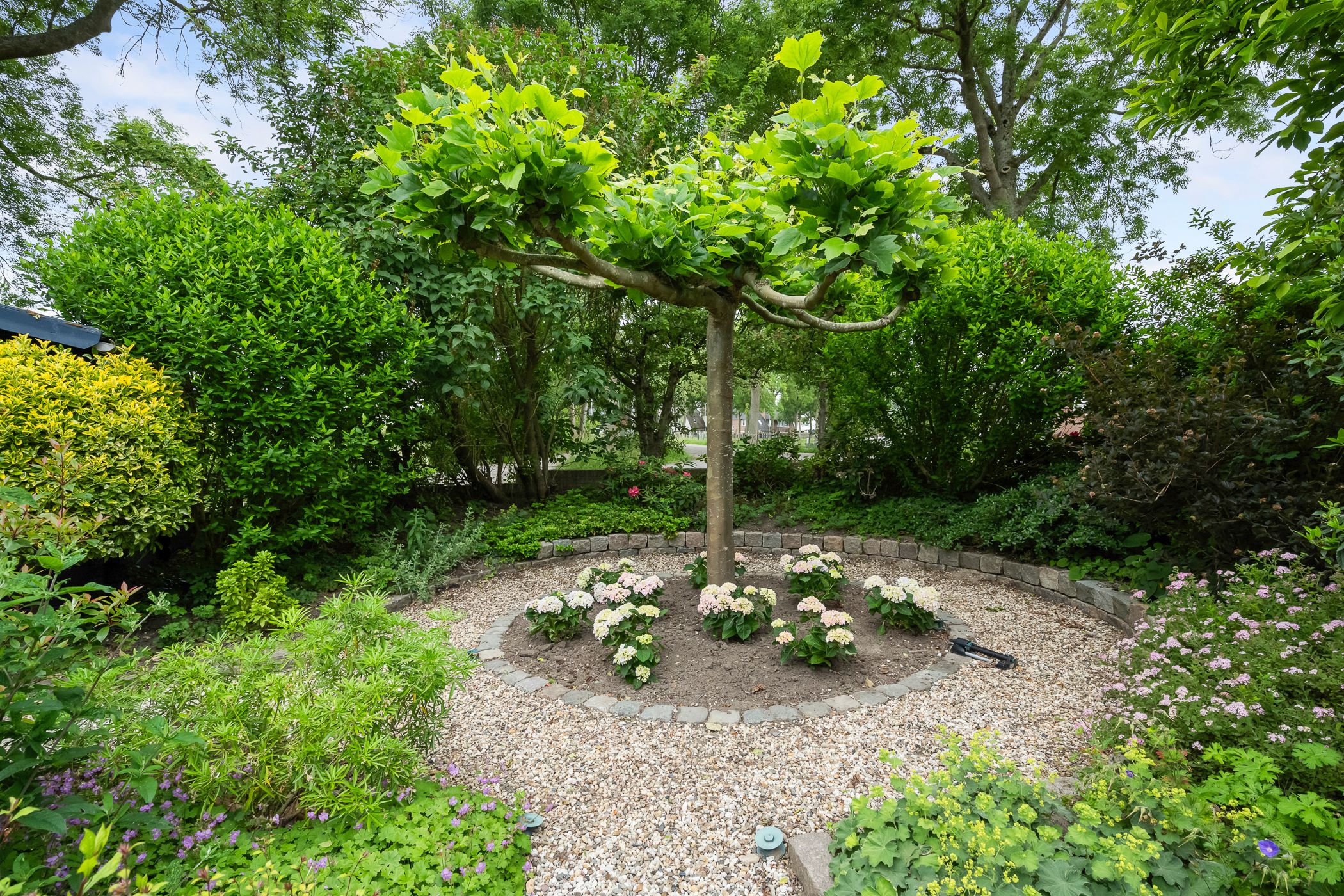 Foto 45 van Essendijk 10