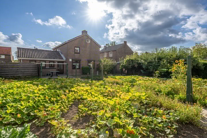 Steneweg 96 main image