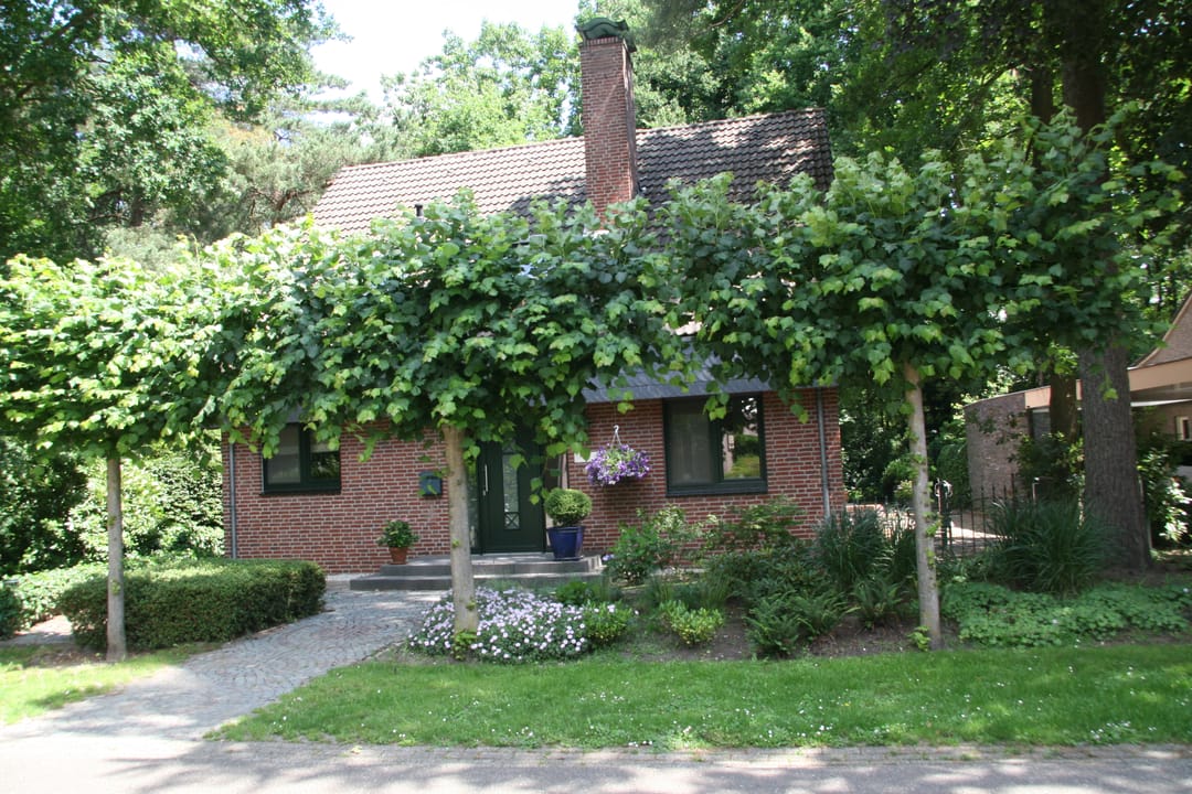 Foto 7 van Tatralaan 11