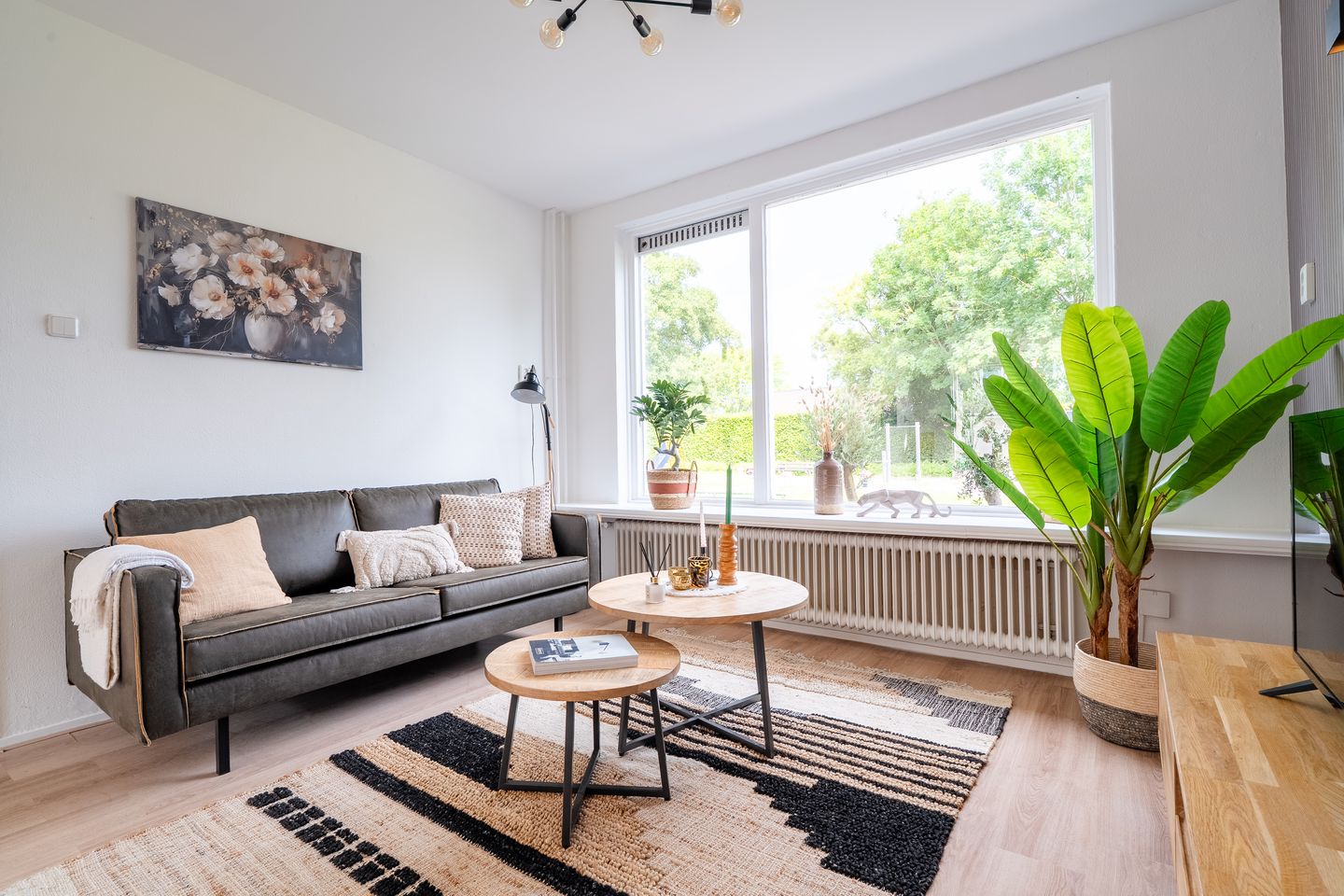 Photo 14 of Schorpioen 69