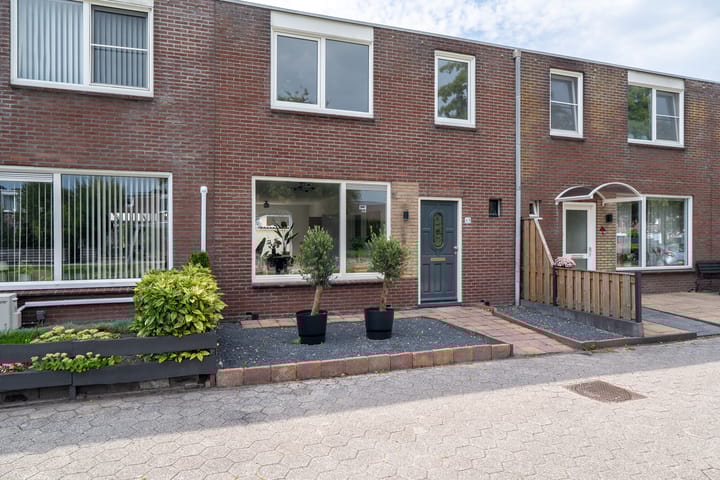 Foto 7 van Schorpioen 69