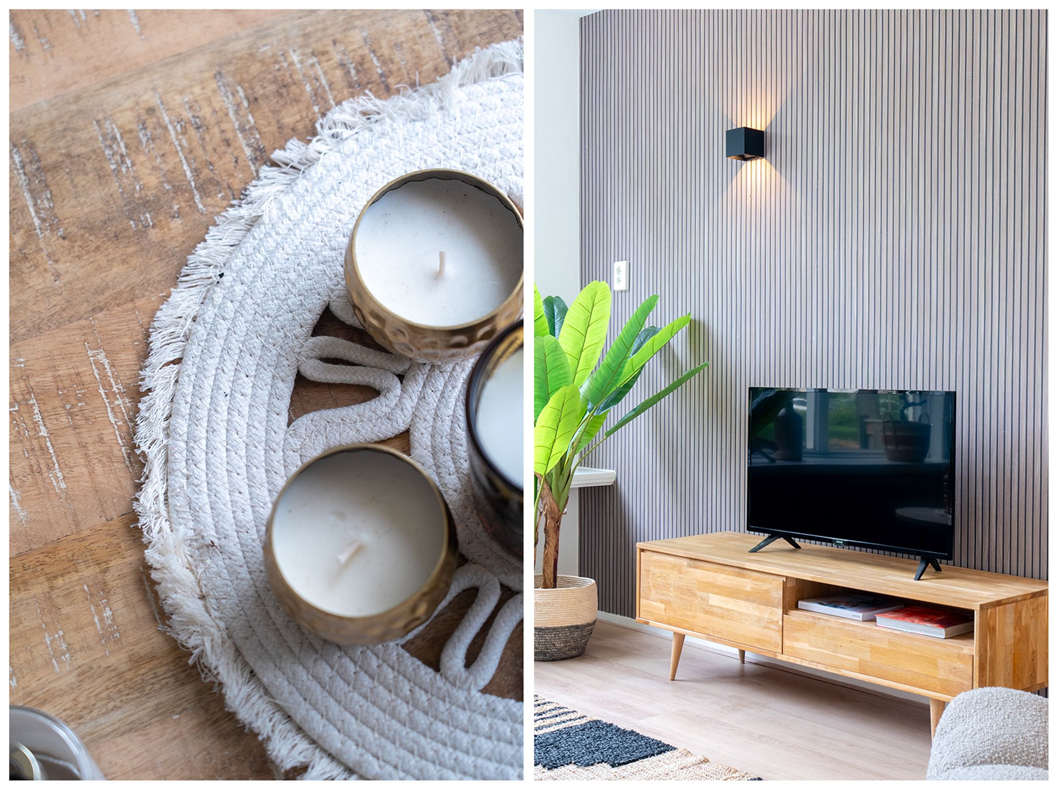 Photo 24 of Schorpioen 69