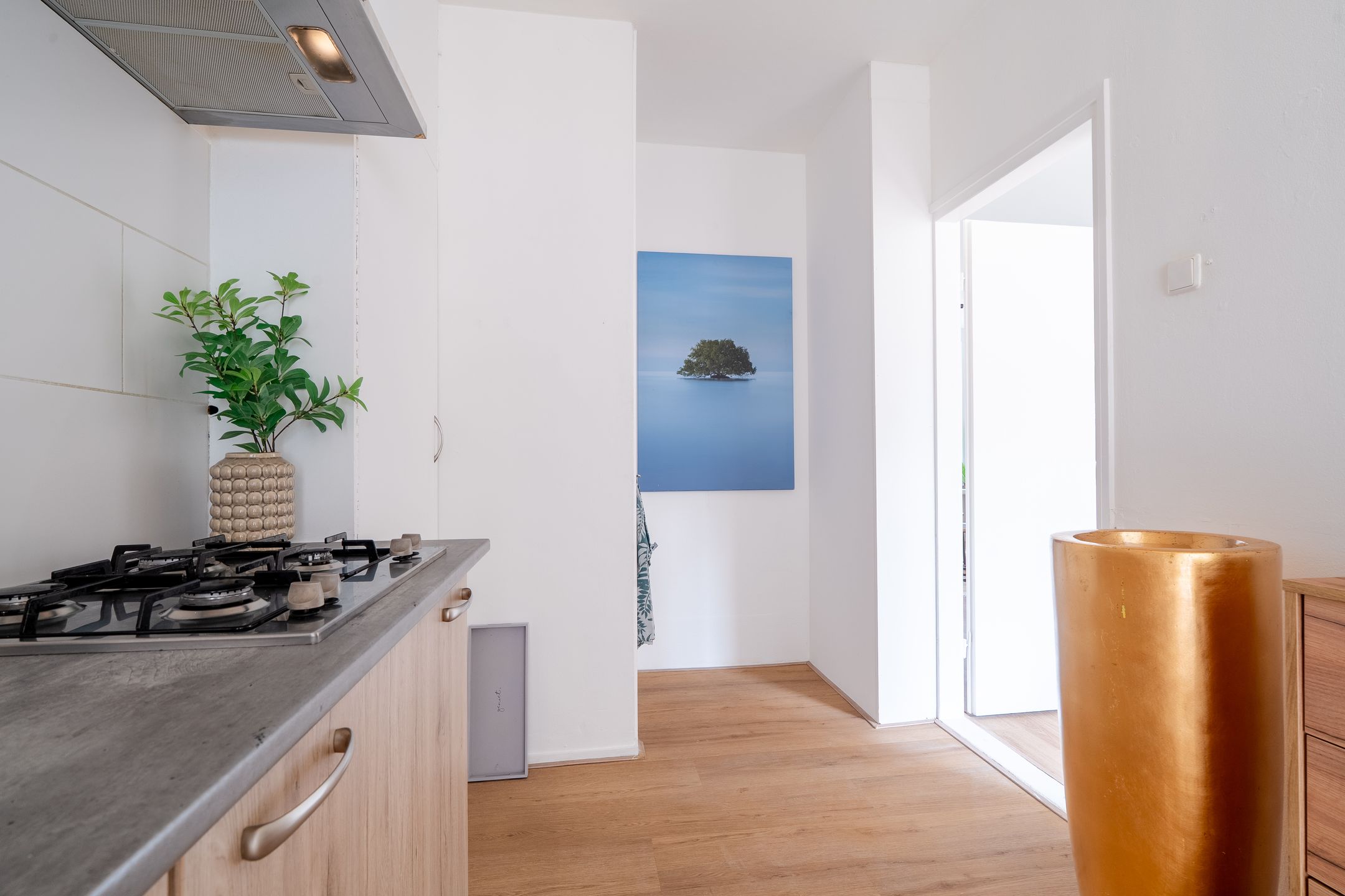 Photo 30 of Schorpioen 69