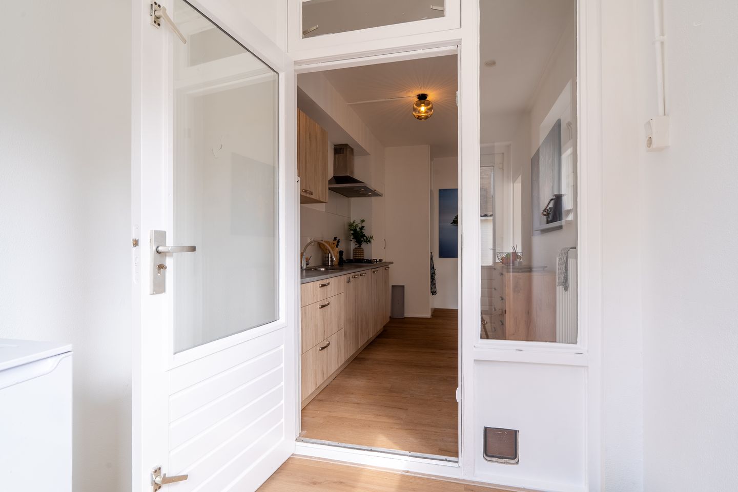 Photo 34 of Schorpioen 69