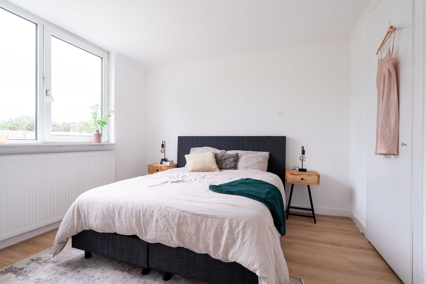 Photo 40 of Schorpioen 69