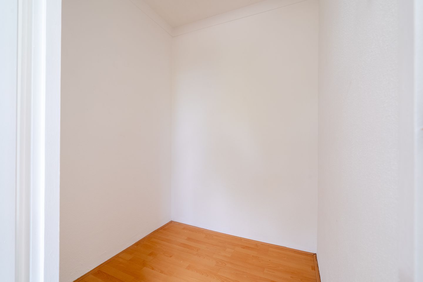 Photo 44 of Schorpioen 69