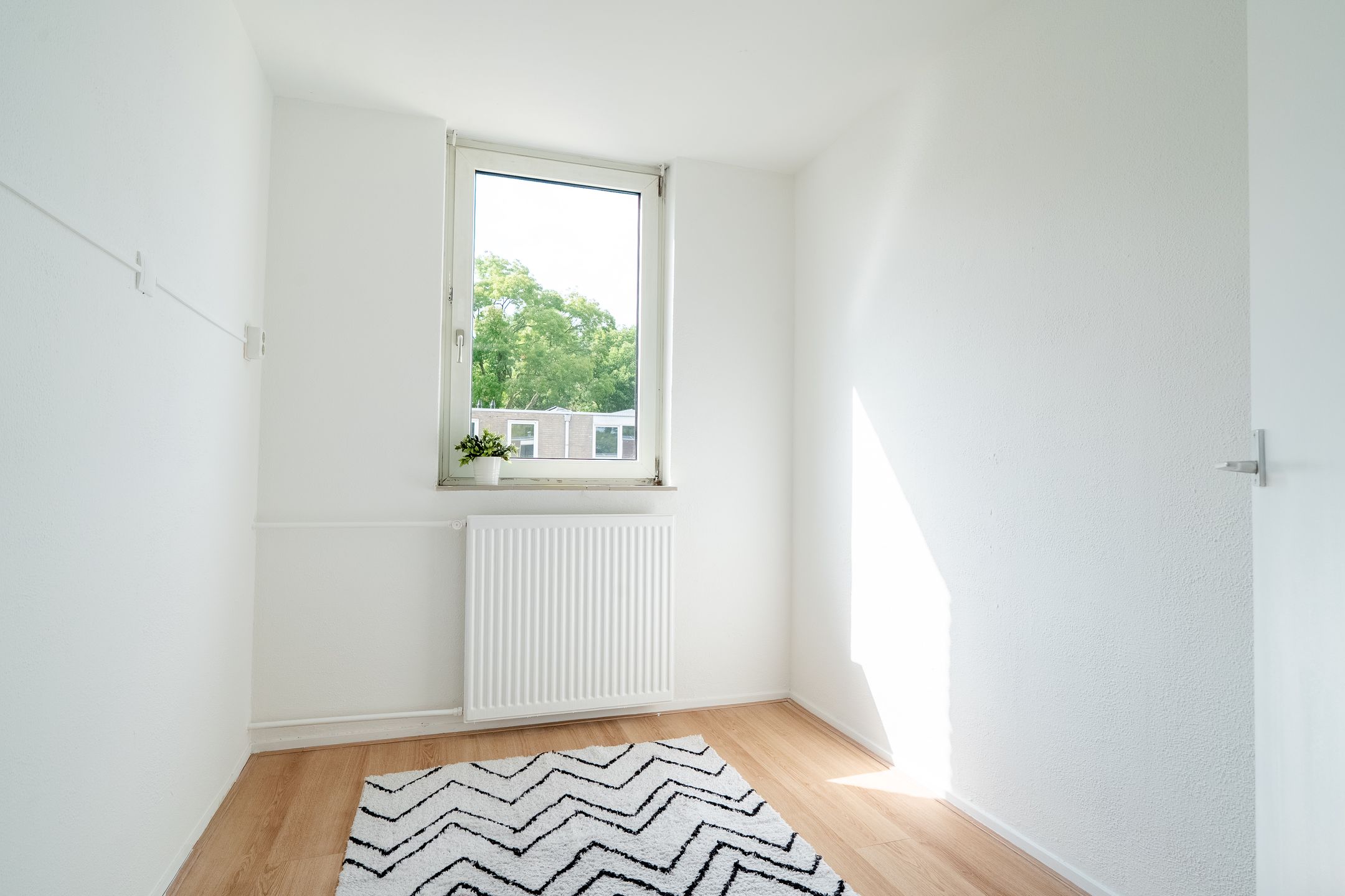 Photo 51 of Schorpioen 69