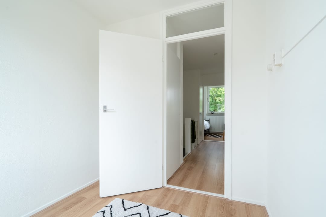 Photo 52 of Schorpioen 69