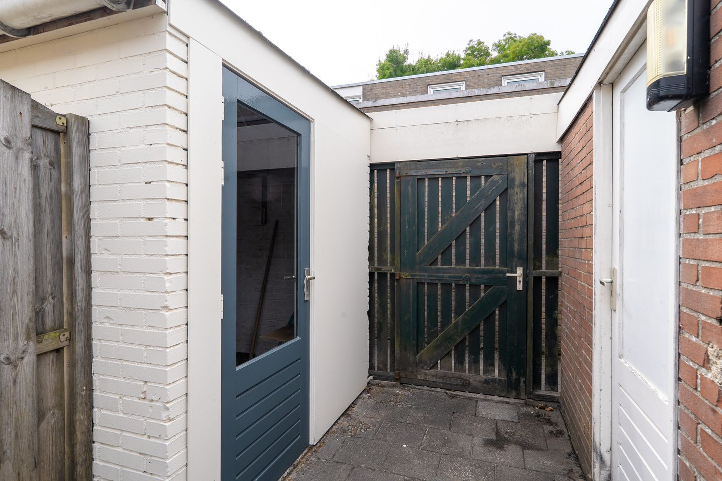 Photo 59 of Schorpioen 69