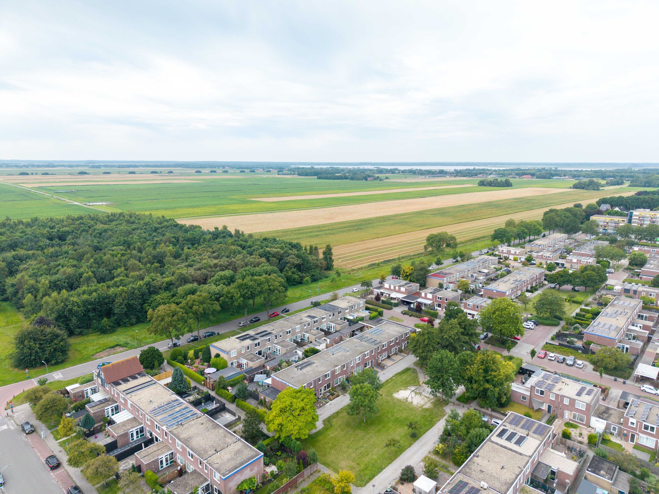 Photo 60 of Schorpioen 69