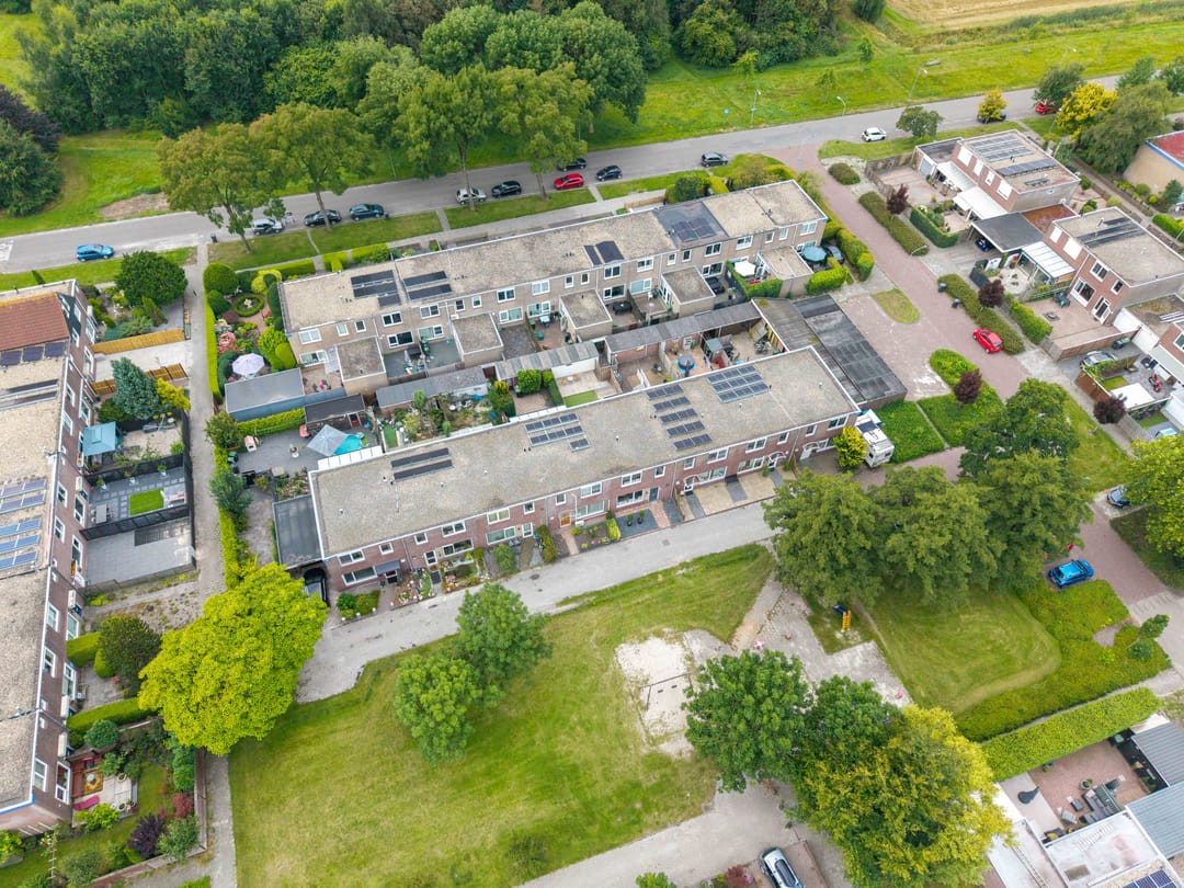 Photo 61 of Schorpioen 69