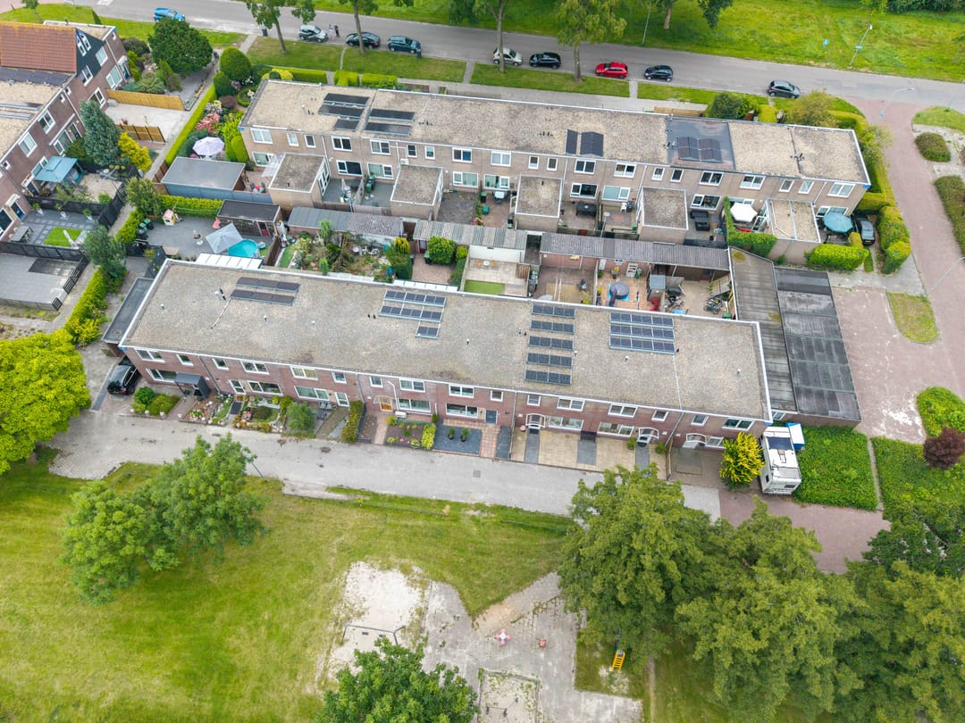 Photo 62 of Schorpioen 69