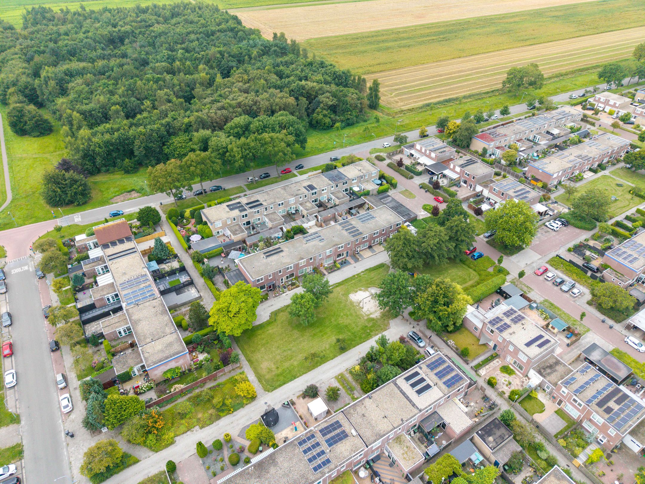 Photo 63 of Schorpioen 69