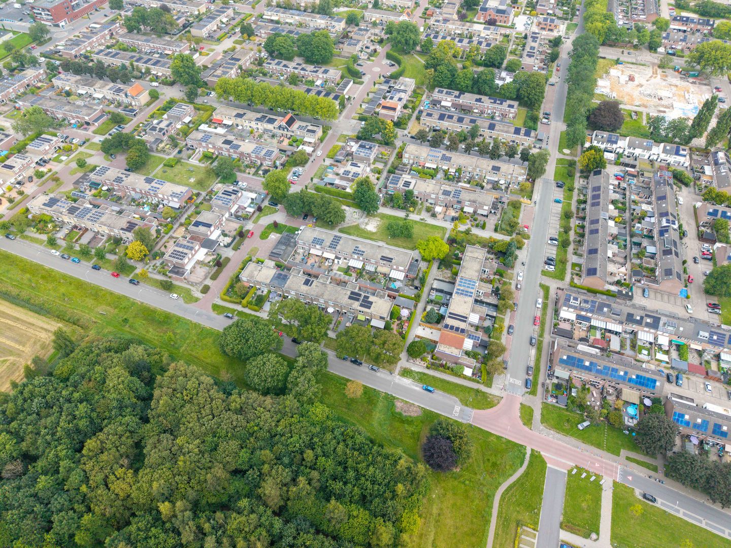 Photo 64 of Schorpioen 69