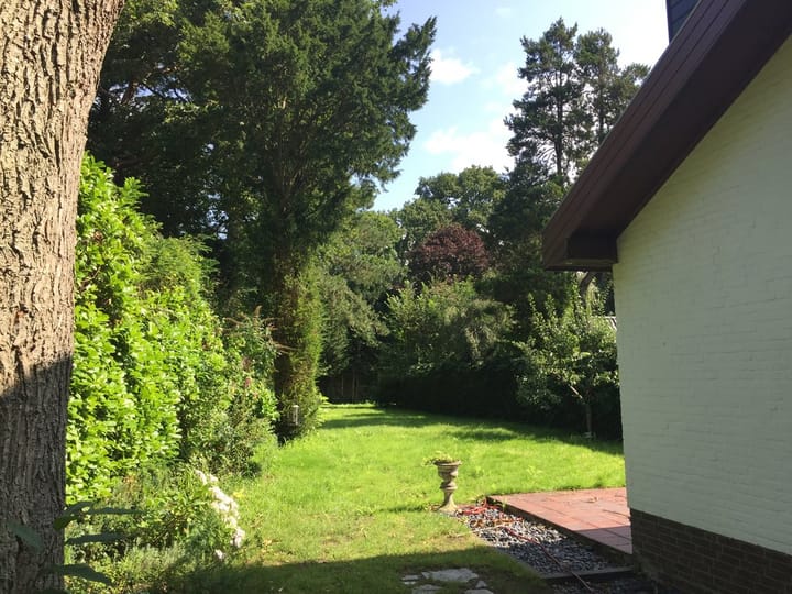 Foto 4 van Berkenlaan 2-E