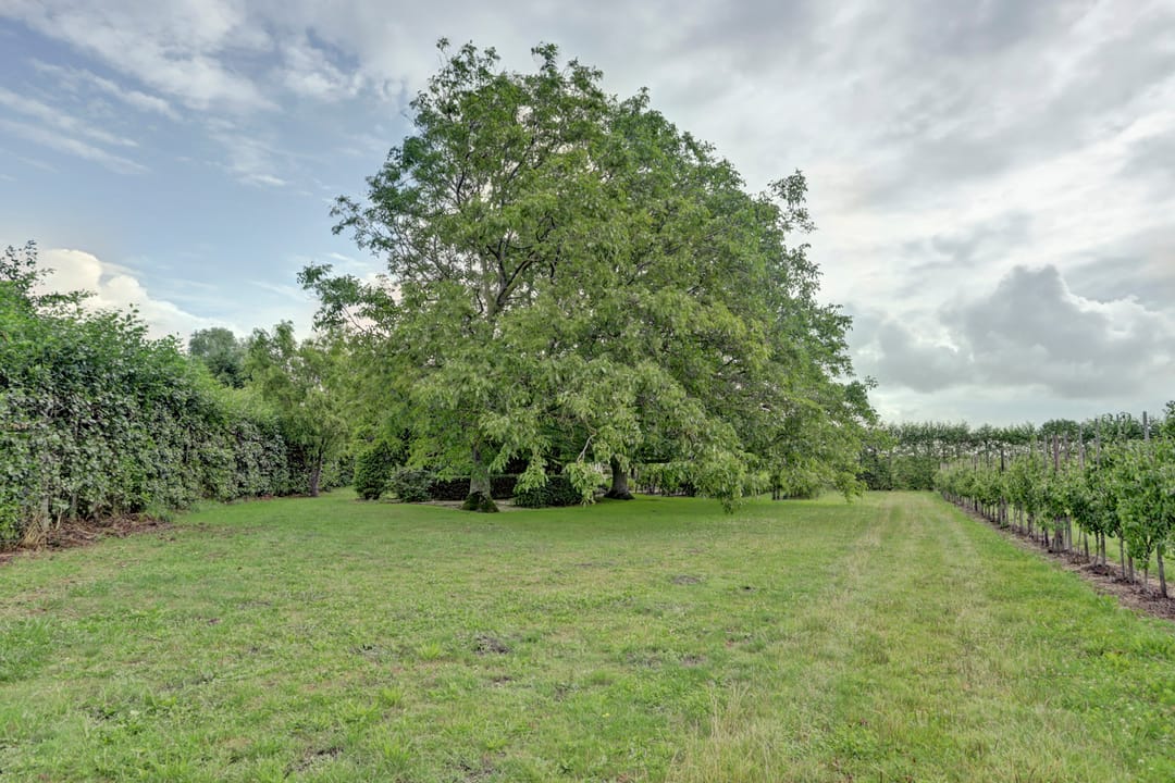 Foto 7 van Korte Noordweg 4