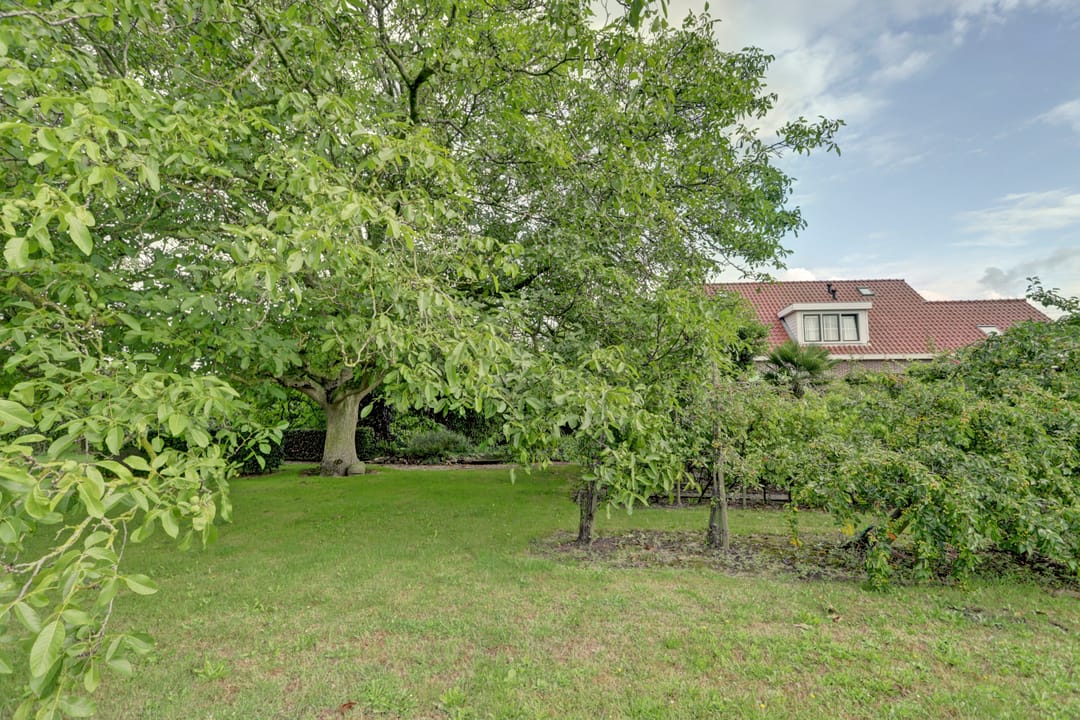 Foto 8 van Korte Noordweg 4