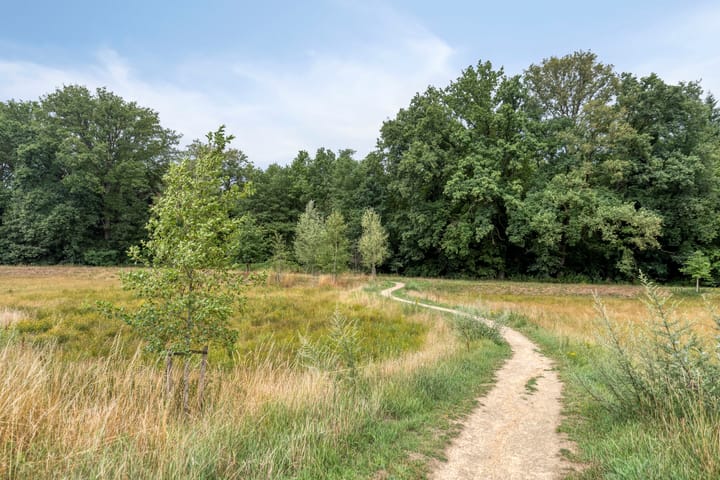 Foto 26 van Dorpsstraat 15