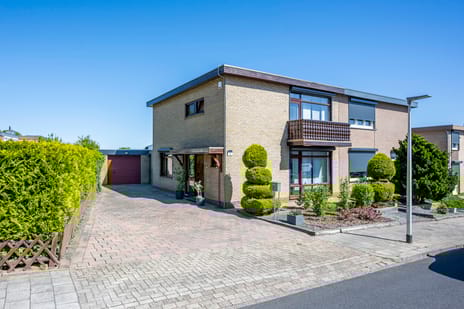 undefined main image