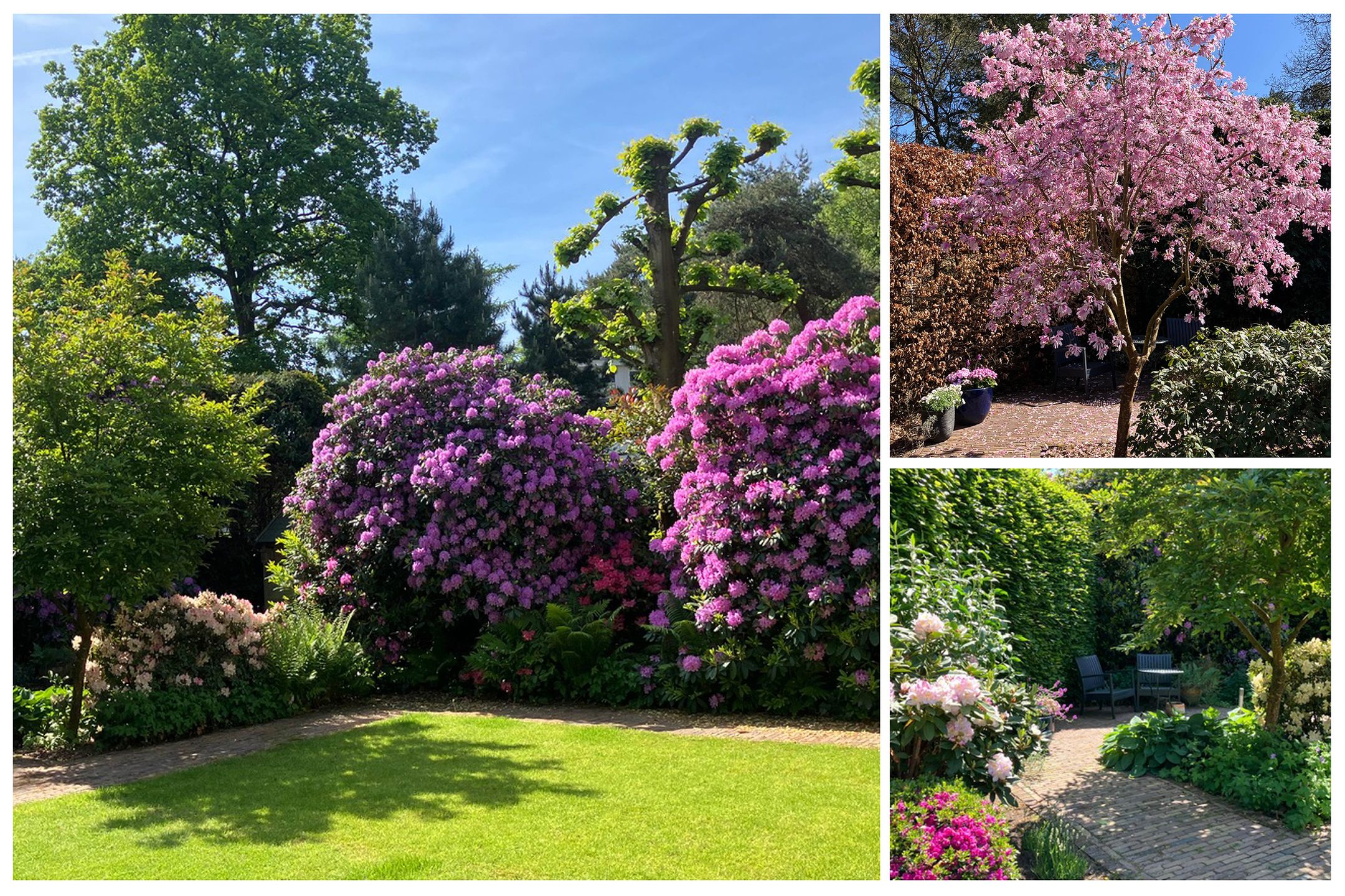 Photo 72 of Rembrandtplein 17