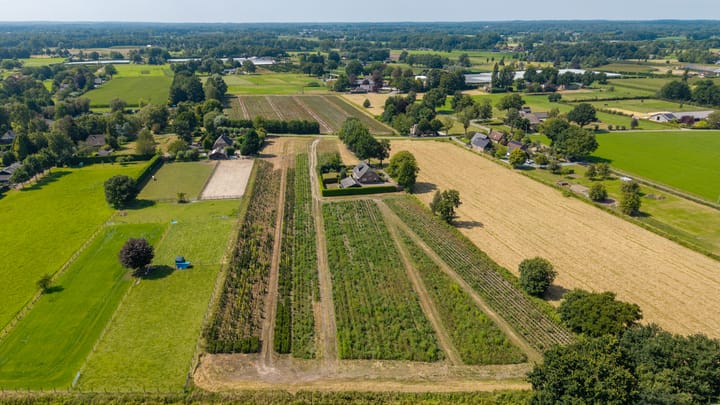 Foto 3 van Boshoekerweg 9