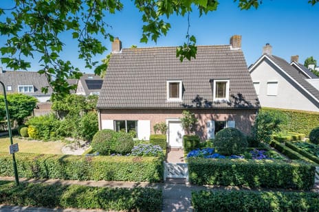 Van den Elsenstraat thumbnail