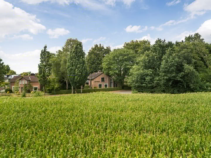 Foto 5 van Wildbaan 3