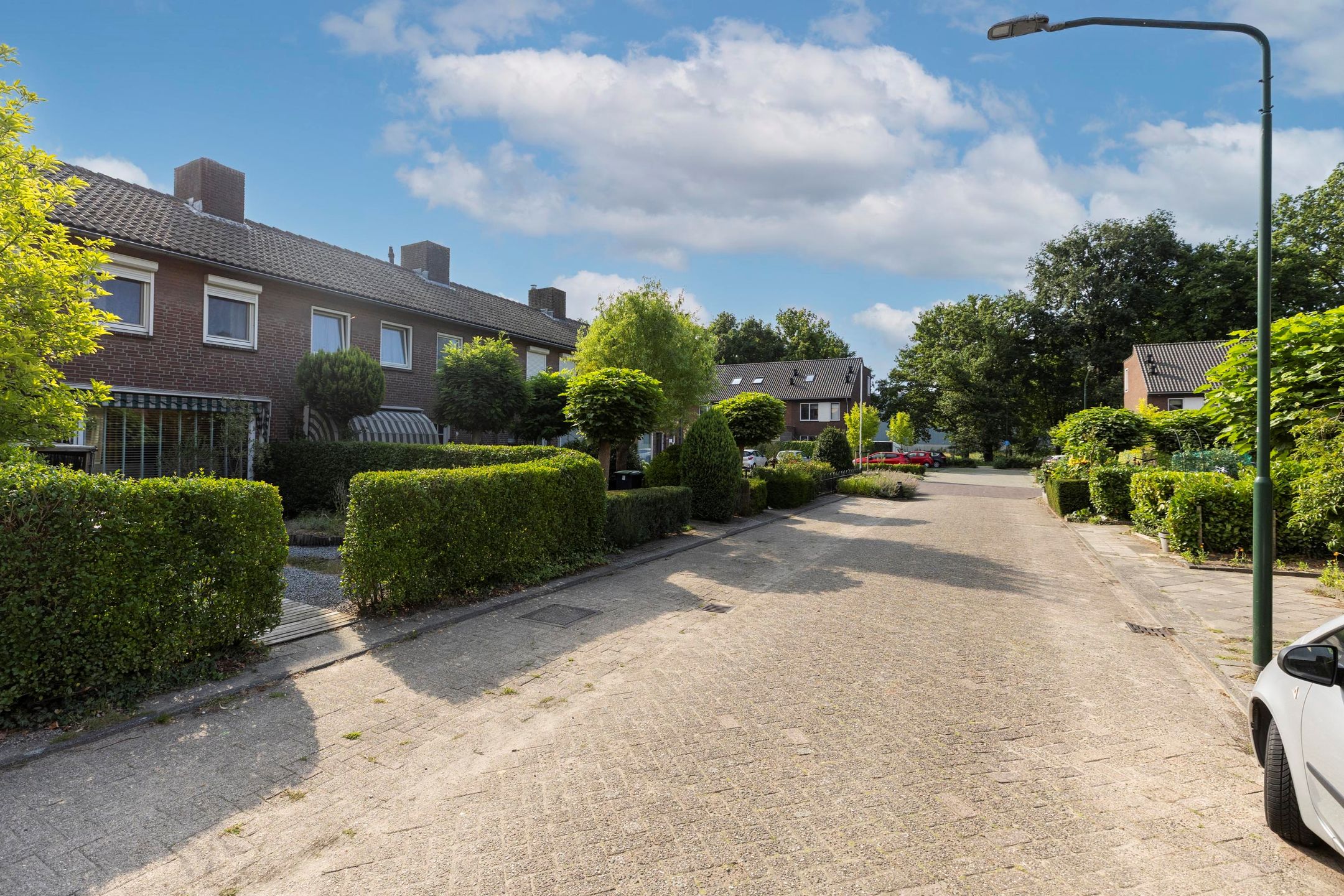 Photo 39 of Ranonkelstraat 7