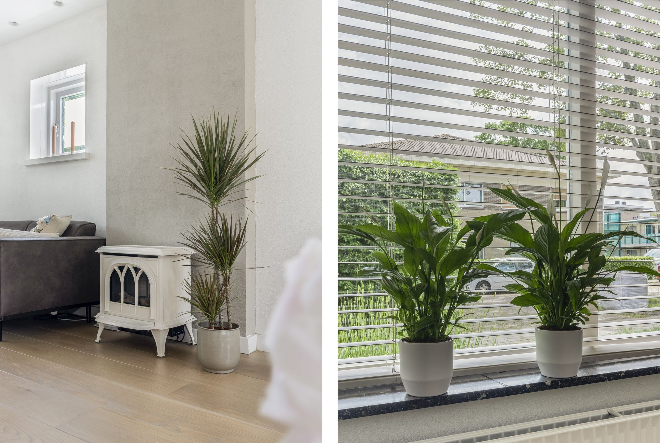 Foto 6 van E.J. Potgieterweg 14