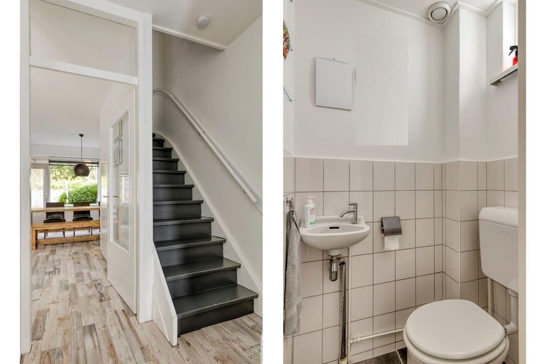 Foto 7 van Vromoldsland 51