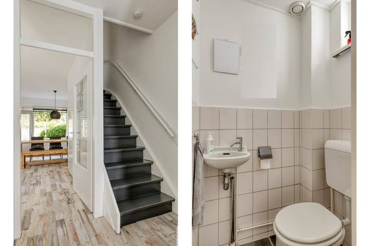 Foto 7 van Vromoldsland 51