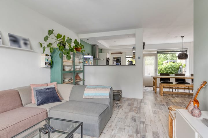 Foto 10 van Vromoldsland 51