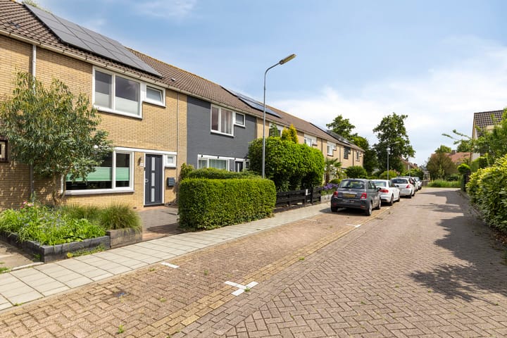 Foto 43 van Vromoldsland 51