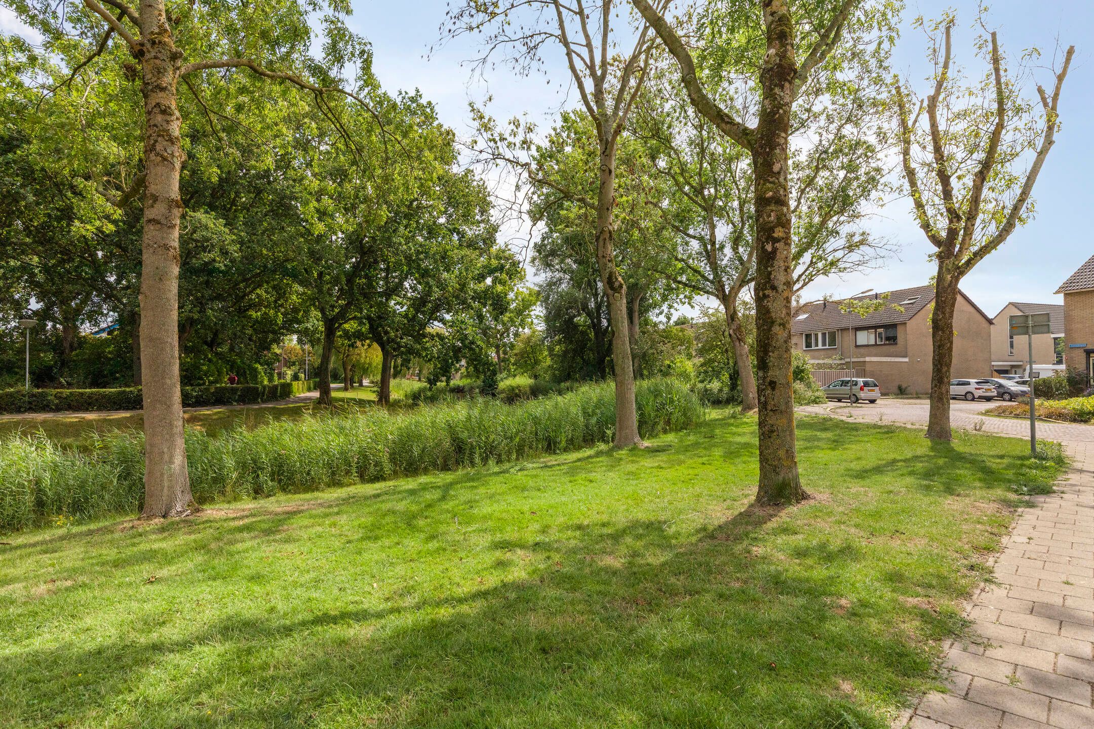 Foto 45 van Vromoldsland 51