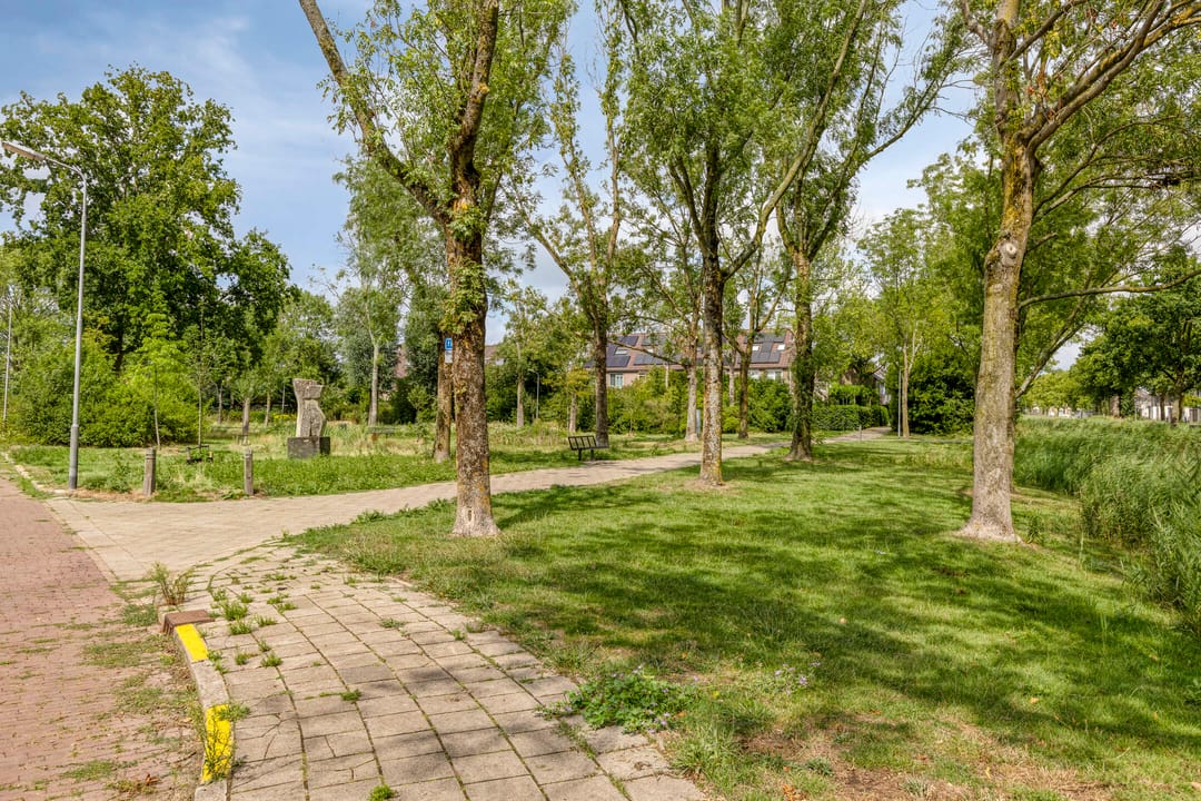 Foto 46 van Vromoldsland 51