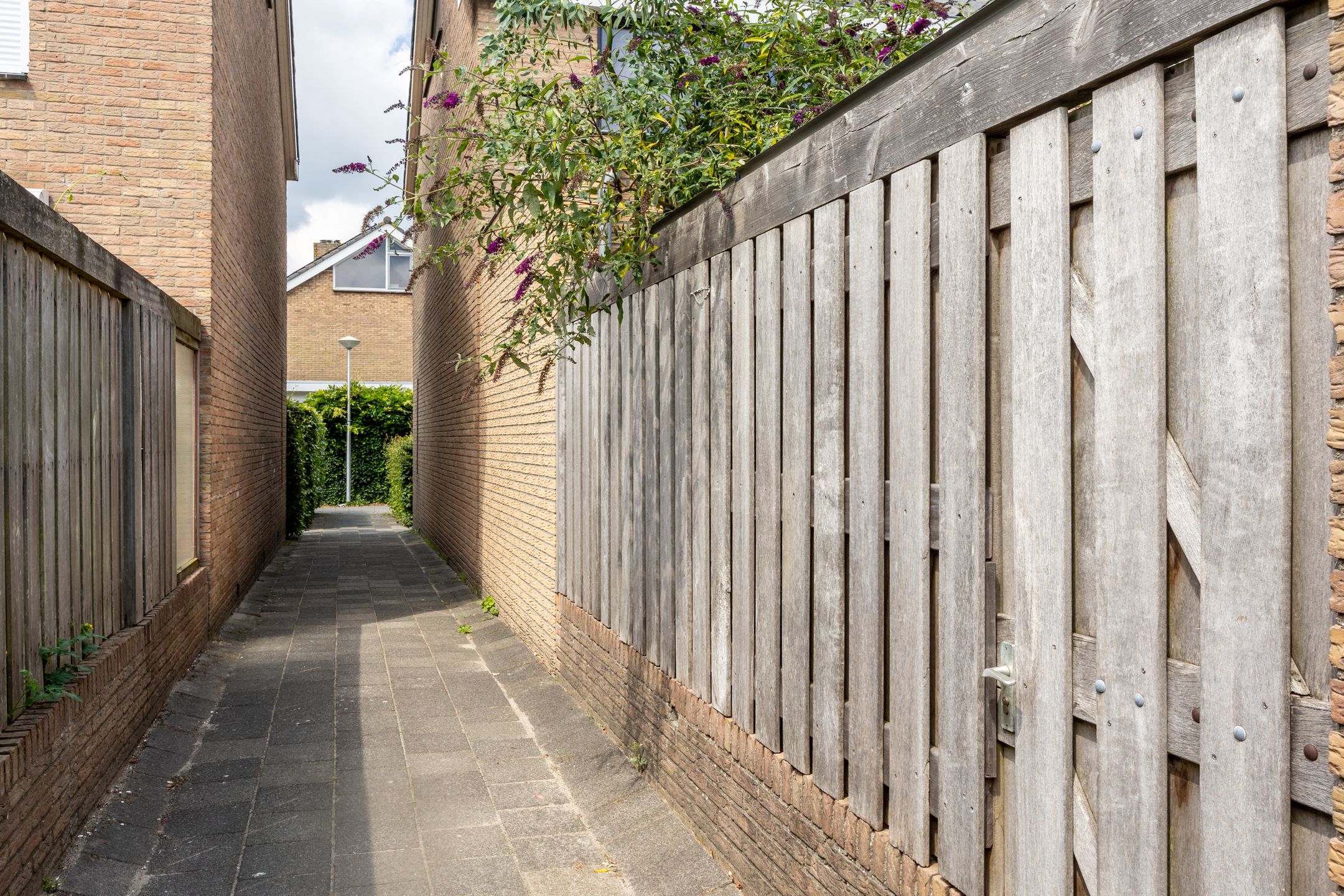 Foto 51 van Snippedrift 26