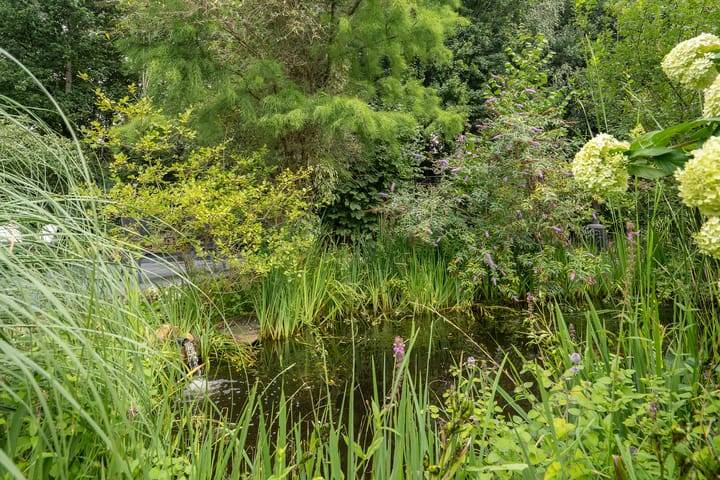 Foto 49 van Zijpendaal 3