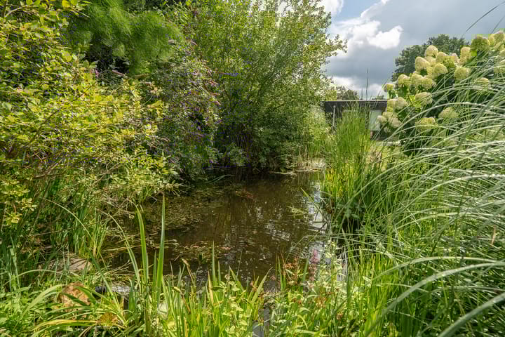 Foto 53 van Zijpendaal 3