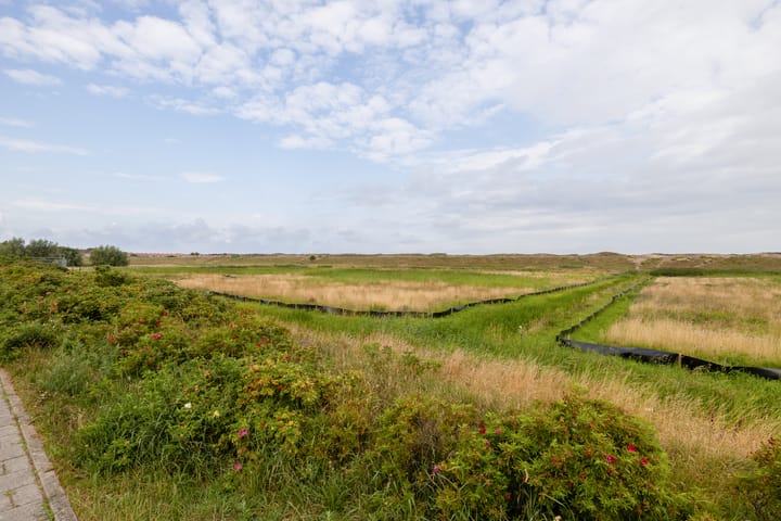 Foto 52 van Jan van Polanenstraat 32