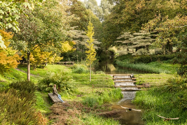 Photo 20 of Admiraal De Ruijterweg 411-3