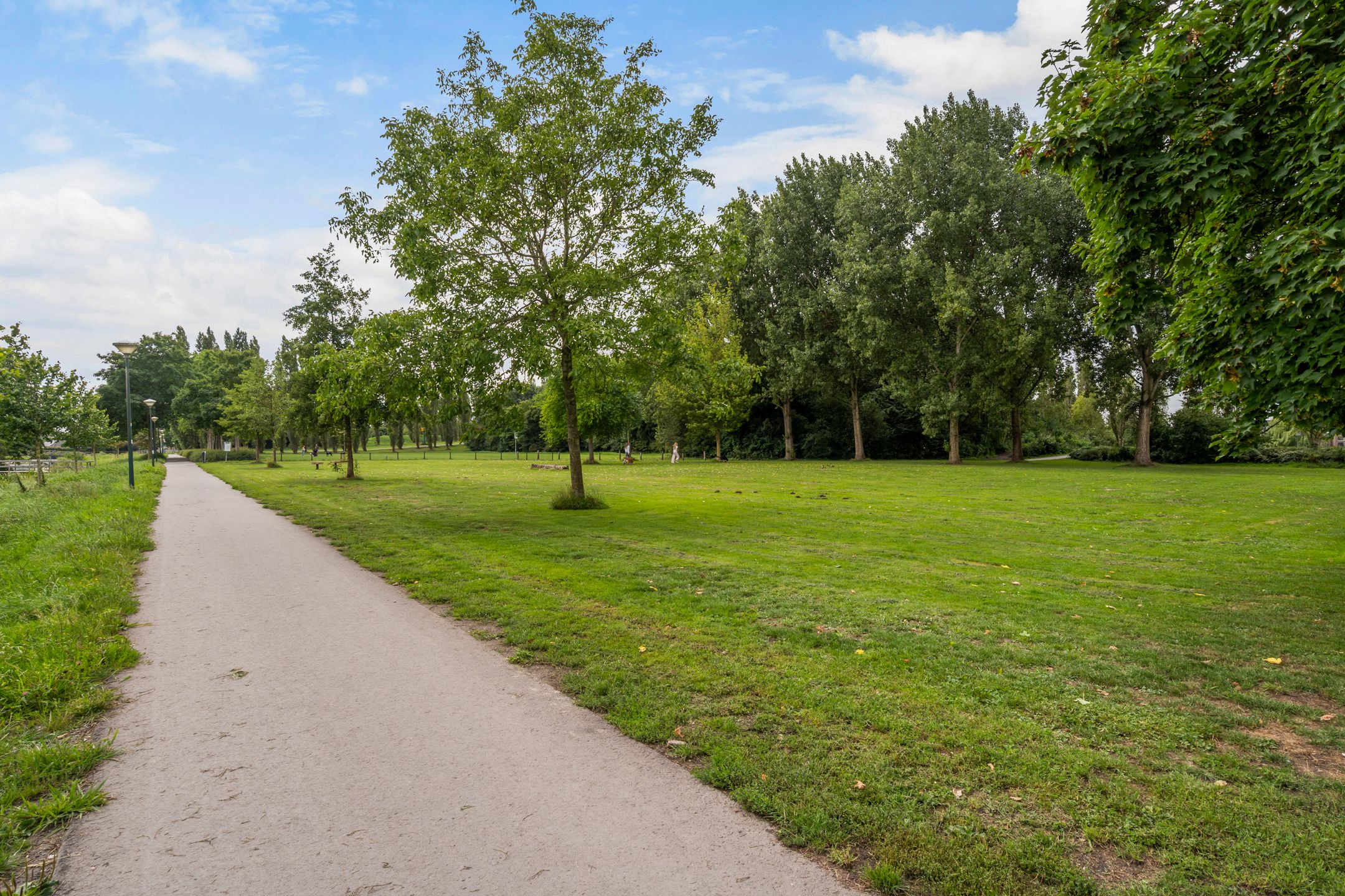 Foto 51 van de Zaan 8