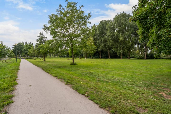 Foto 51 van de Zaan 8