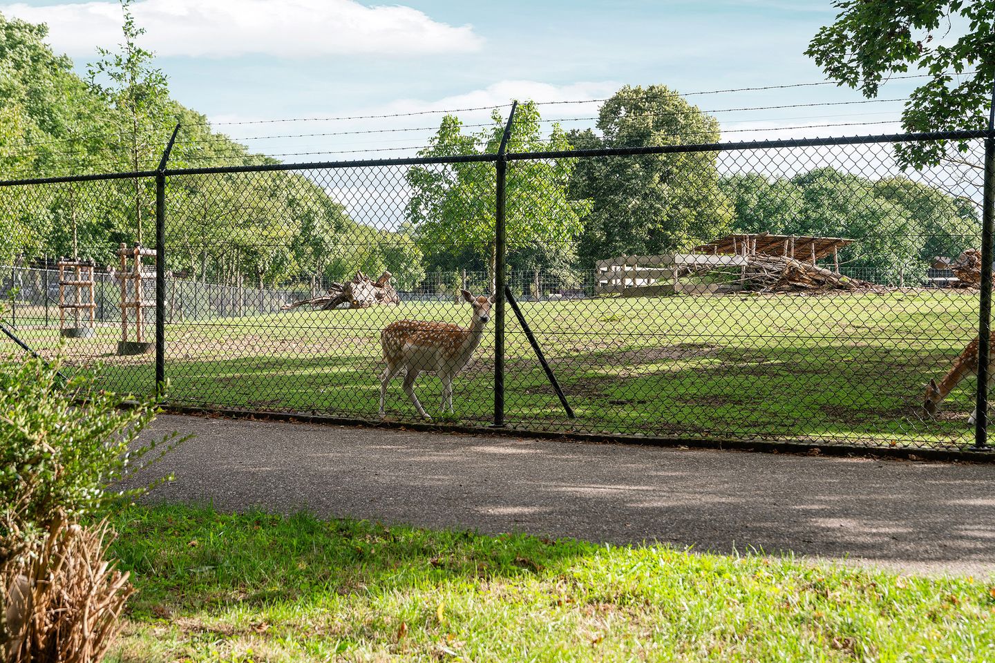 Foto 59 van Wezenlaan 119